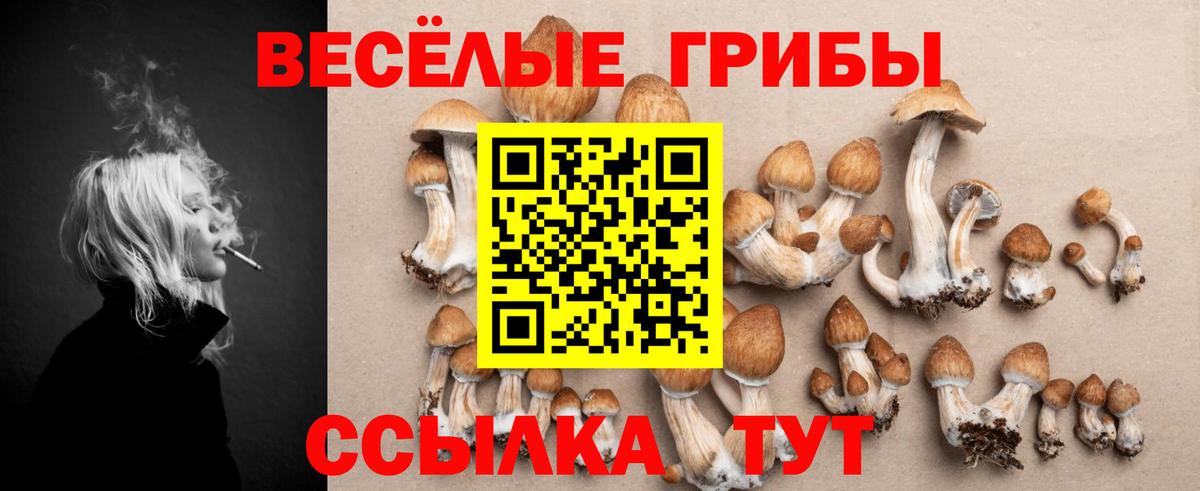 Мичуринск  Псилоцибиновые грибы MAGIC MUSHROOMS  наркошоп  Галлюциногенные грибы мицелий  Вход с VPN 